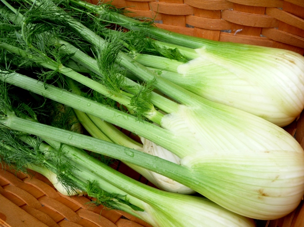 Organic fennel from the Imperial Valley